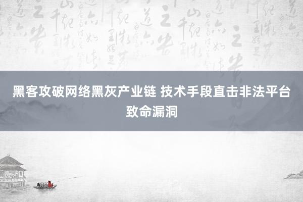 黑客攻破网络黑灰产业链 技术手段直击非法平台致命漏洞